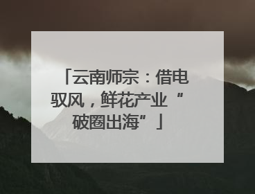 云南师宗：借电驭风，鲜花产业“破圈出海”