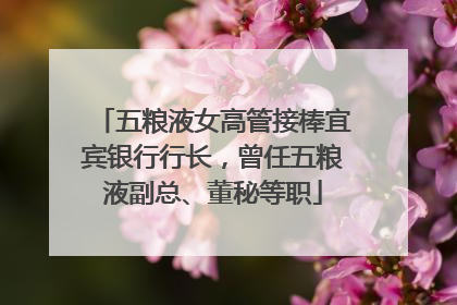 五粮液女高管接棒宜宾银行行长，曾任五粮液副总、董秘等职
