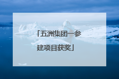 五洲集团一参建项目获奖