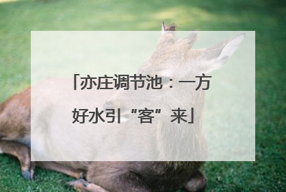亦庄调节池：一方好水引“客”来