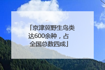 京津冀野生鸟类达600余种，占全国总数四成