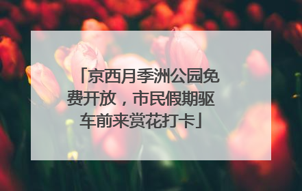 京西月季洲公园免费开放，市民假期驱车前来赏花打卡