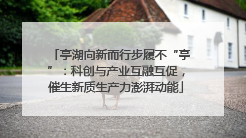 亭湖向新而行步履不“亭”：科创与产业互融互促，催生新质生产力澎湃动能