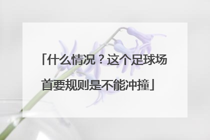 什么情况？这个足球场首要规则是不能冲撞