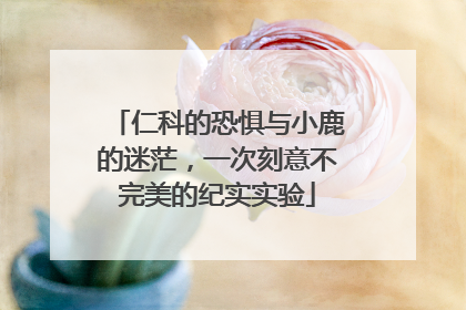 仁科的恐惧与小鹿的迷茫，一次刻意不完美的纪实实验