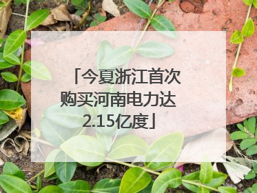 今夏浙江首次购买河南电力达2.15亿度