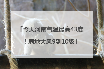 今天河南气温最高43度！局地大风9到10级