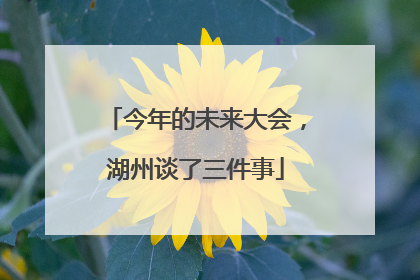 今年的未来大会，湖州谈了三件事