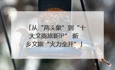 从“两头象”到“十大文商旅新IP” 新乡文旅“火力全开”