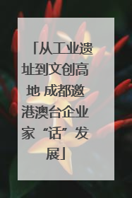 从工业遗址到文创高地 成都邀港澳台企业家“话”发展