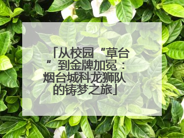 从校园“草台”到金牌加冕：烟台城科龙狮队的铸梦之旅