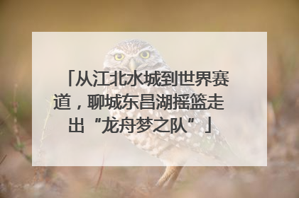 从江北水城到世界赛道，聊城东昌湖摇篮走出“龙舟梦之队”