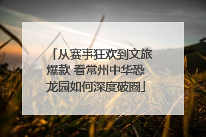 从赛事狂欢到文旅爆款 看常州中华恐龙园如何深度破圈