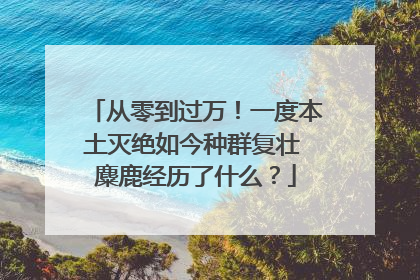 从零到过万！一度本土灭绝如今种群复壮 麋鹿经历了什么？
