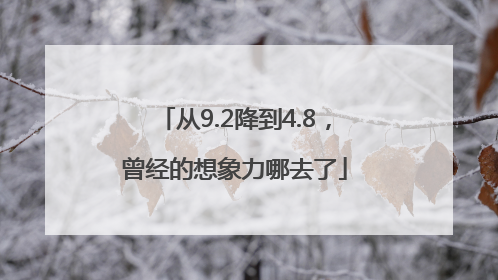 从9.2降到4.8，曾经的想象力哪去了