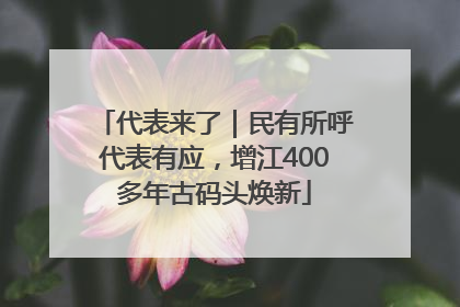 代表来了｜民有所呼代表有应，增江400多年古码头焕新