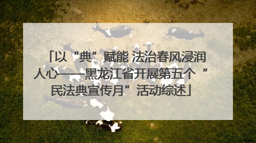 以“典”赋能 法治春风浸润人心——黑龙江省开展第五个“民法典宣传月”活动综述
