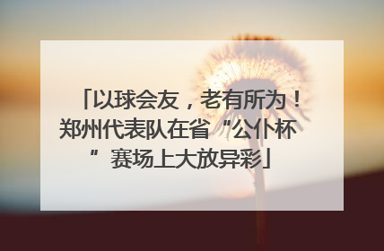 以球会友，老有所为！郑州代表队在省“公仆杯”赛场上大放异彩