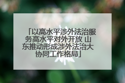 以高水平涉外法治服务高水平对外开放 山东推动形成涉外法治大协同工作格局