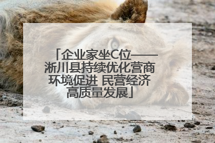 企业家坐C位——淅川县持续优化营商环境促进 民营经济高质量发展