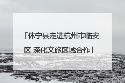 休宁县走进杭州市临安区 深化文旅区域合作