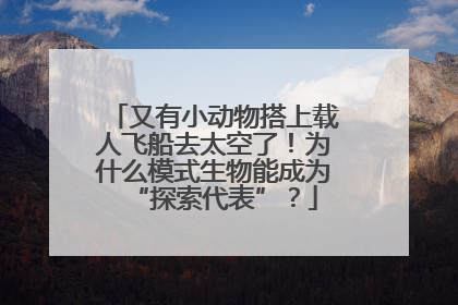 又有小动物搭上载人飞船去太空了！为什么模式生物能成为“探索代表”？