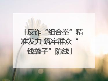 反诈“组合拳”精准发力 筑牢群众“钱袋子”防线