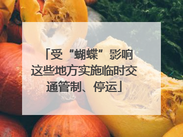 受“蝴蝶”影响 这些地方实施临时交通管制、停运