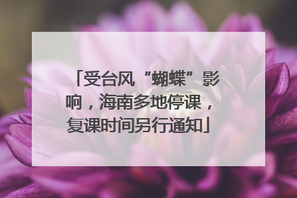 受台风“蝴蝶”影响，海南多地停课，复课时间另行通知