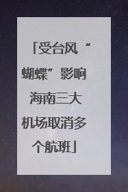 受台风“蝴蝶”影响 海南三大机场取消多个航班
