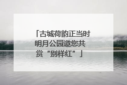 古城荷韵正当时 明月公园邀您共赏“别样红”