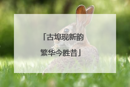 古埠现新韵 繁华今胜昔