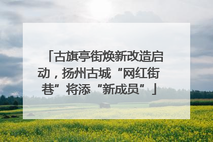 古旗亭街焕新改造启动，扬州古城“网红街巷”将添“新成员”