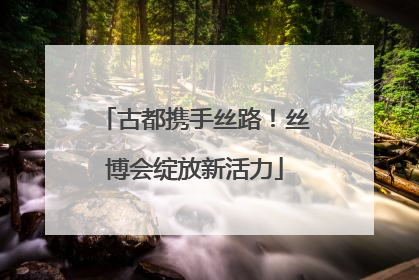 古都携手丝路！丝博会绽放新活力