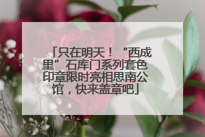 只在明天！“西成里”石库门系列套色印章限时亮相思南公馆，快来盖章吧