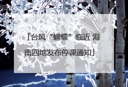 台风“蝴蝶”临近 海南四地发布停课通知