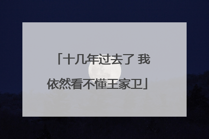 十几年过去了 我依然看不懂王家卫