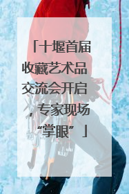 十堰首届收藏艺术品交流会开启，专家现场“掌眼”