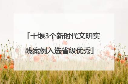 十堰3个新时代文明实践案例入选省级优秀