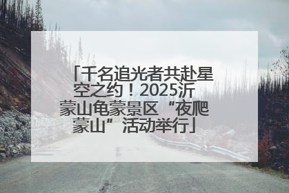 千名追光者共赴星空之约！2025沂蒙山龟蒙景区“夜爬蒙山”活动举行