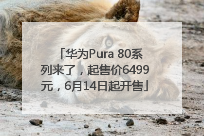 华为Pura 80系列来了，起售价6499元，6月14日起开售