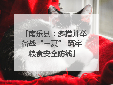 南乐县：多措并举备战“三夏” 筑牢粮食安全防线