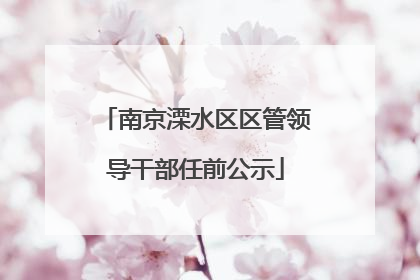 南京溧水区区管领导干部任前公示