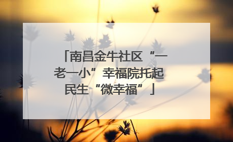 南昌金牛社区“一老一小”幸福院托起民生“微幸福”
