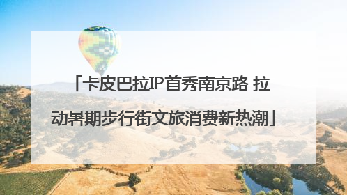 卡皮巴拉IP首秀南京路 拉动暑期步行街文旅消费新热潮