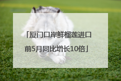 厦门口岸鲜榴莲进口 前5月同比增长10倍