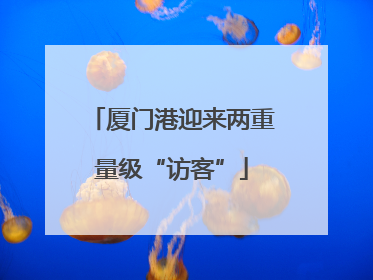 厦门港迎来两重量级“访客”