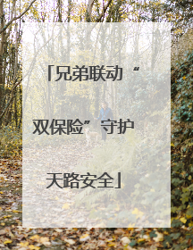 兄弟联动“双保险”守护天路安全