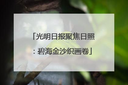 光明日报聚焦日照：碧海金沙织画卷