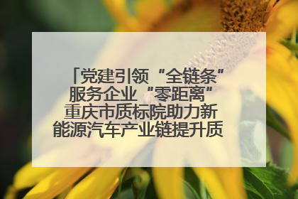 党建引领“全链条” 服务企业“零距离” 重庆市质标院助力新能源汽车产业链提升质量管理水平
